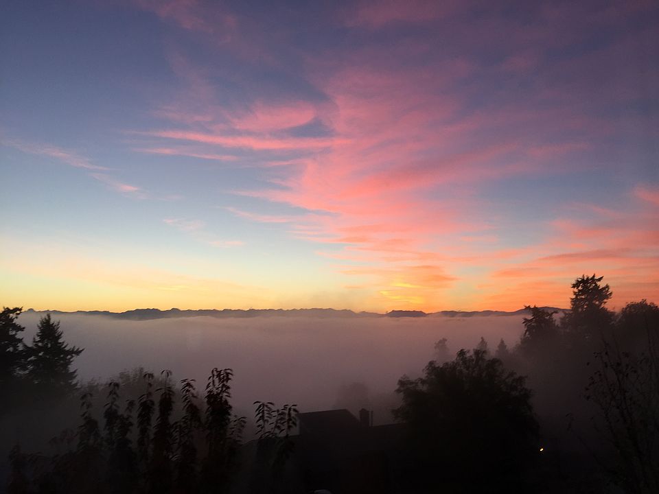 View from Deck
