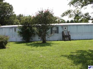 30 China Hill Rd, Bishopville, SC 29010