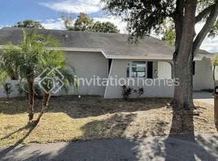 10104 Enchanted Oaks Ct, Tampa, FL 33615