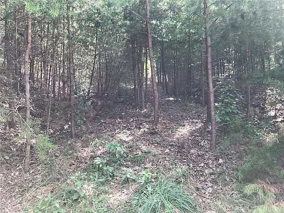 4th image of 278 Vista View Pkwy