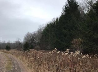 153 Manor Creek Rd, Conesville, NY 12076