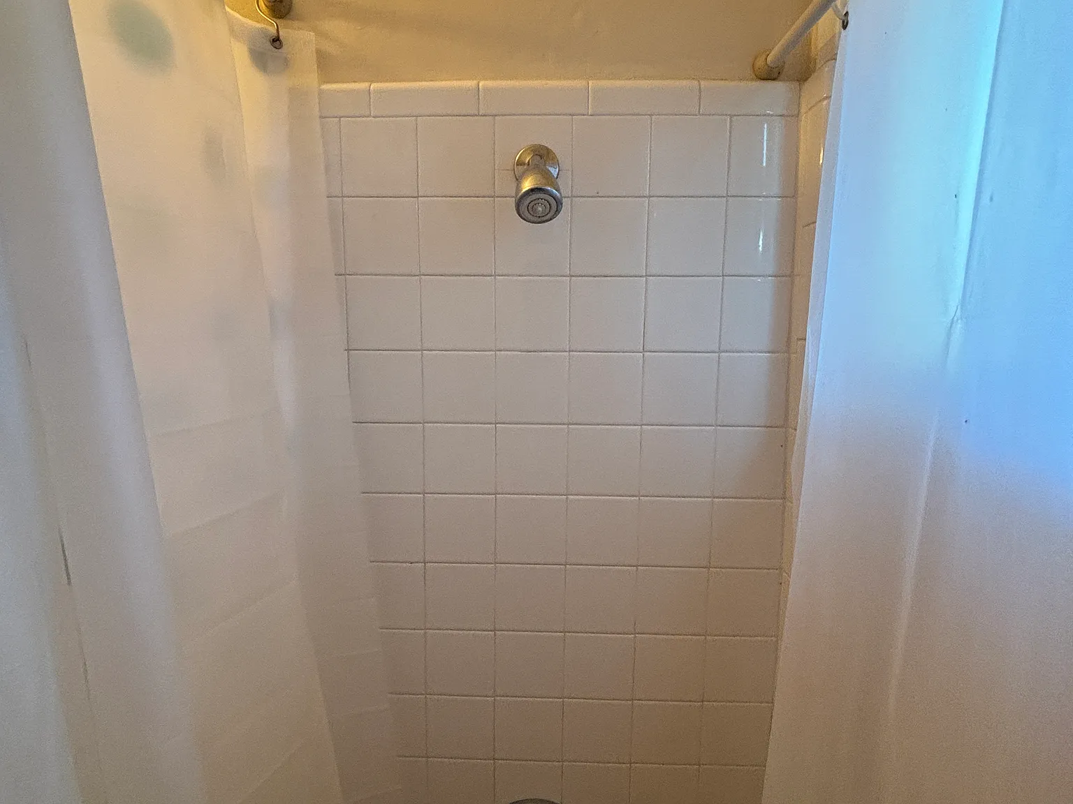 2 bed, 900 sqft, $1,260 — Photo 3