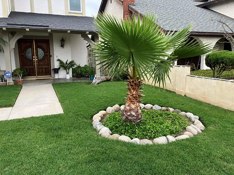 Beautiful big front yard