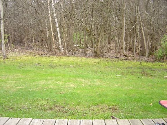 View from Back slider