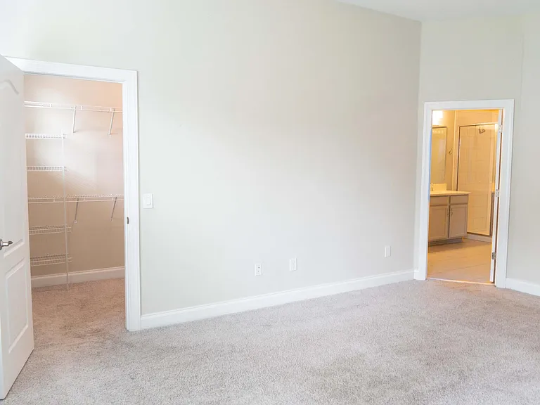 1011 Lychee Ct — Photo 57