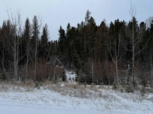 505 Clearwater Estates Cres, Rural County, AB T4T 2A2