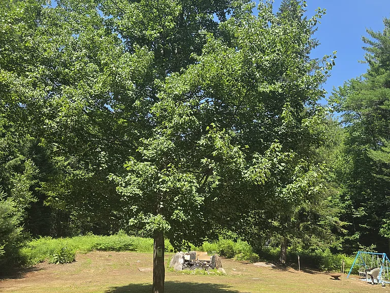 Sibley Rd — Photo 1