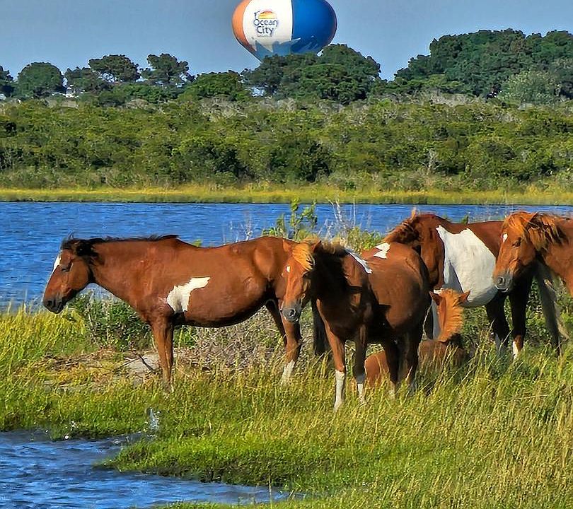 1st image of LOT 3 Stephen Decatur Hwy