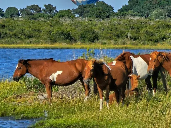 LOT 3 Stephen Decatur Hwy, Ocean City, MD 21842