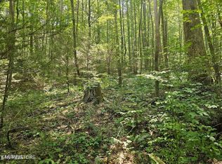 Happy Top Rd, Grandview, TN 37337