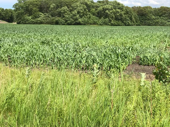 0 Saint Rd #55, Demotte, IN 46310