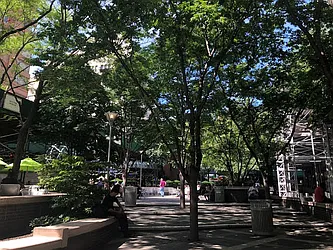 Rented by Manivita New York LLC