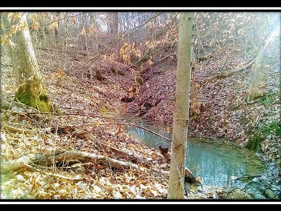 3rd image of 8695 Township Road 57 NE