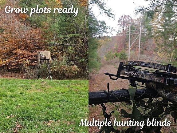 3rd image of Boyd Rd