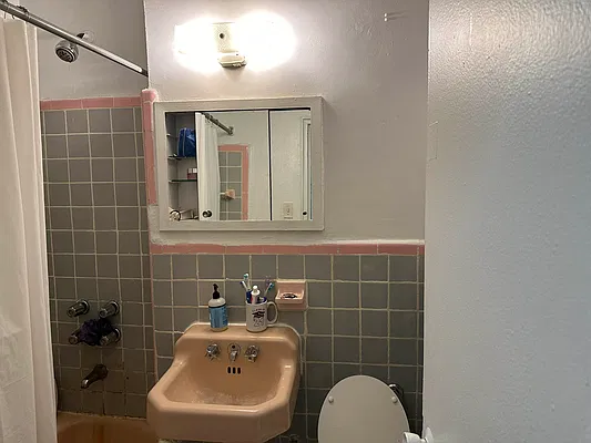 Rented by Eric Goodman Realty Corp | media 6