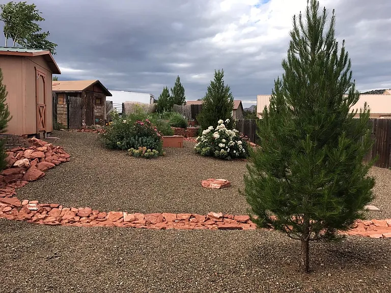 back yard