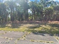 3rd image of 307 Nancy Ln