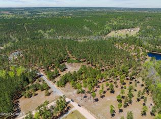 LOT 3 Tufts Vis, Jackson Springs, NC 27281