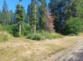 117 Dunivan Rd, Vader, WA 98593