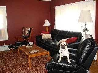 Living room 3