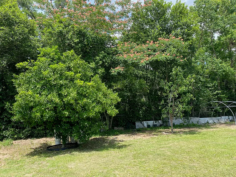 1364 Lawndale Rd — Photo 37