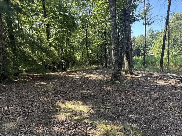259 Spring Hills Ln, Young Harris, GA 30582