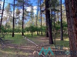 Waterline Ln, Chama, NM 87520