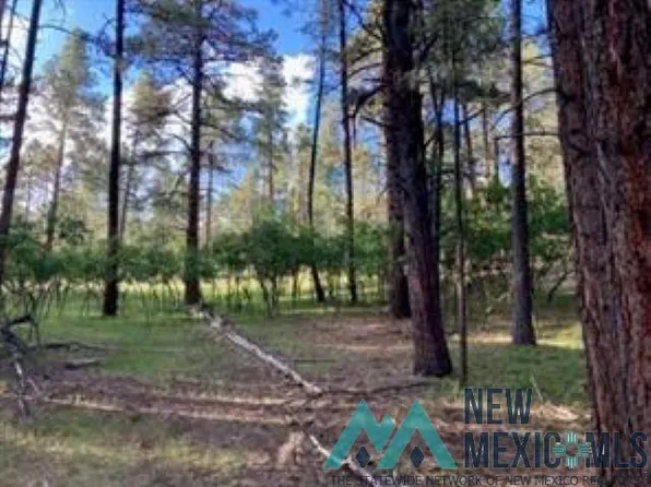 Waterline Ln, Chama, NM 87520