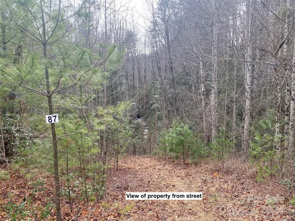 87 Peppervine Cir, Rosman, NC 28772