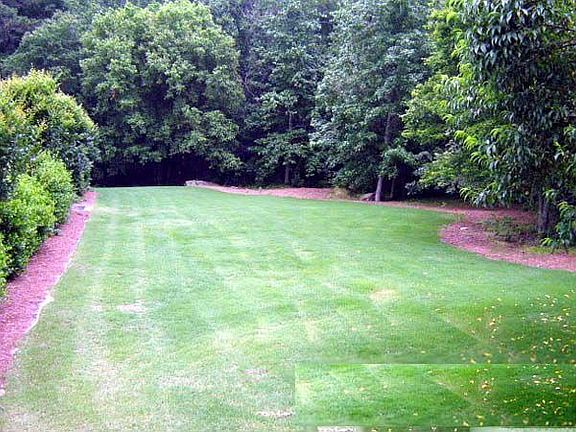 More Back Yard Upper