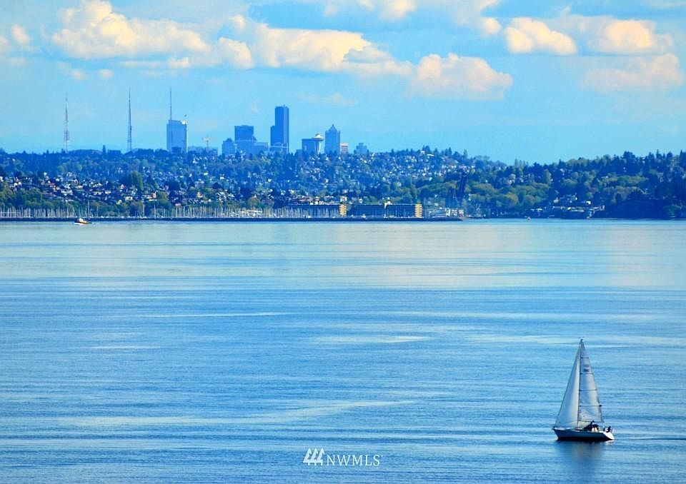 View from backyard of Downtown Seattle and Shilshole Bay