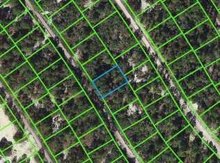 523 Dreamland Ave, Lake Placid, FL 33852
