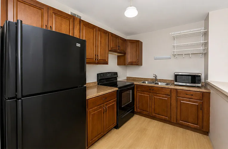 1636 N Wells St #2210 — Photo 5