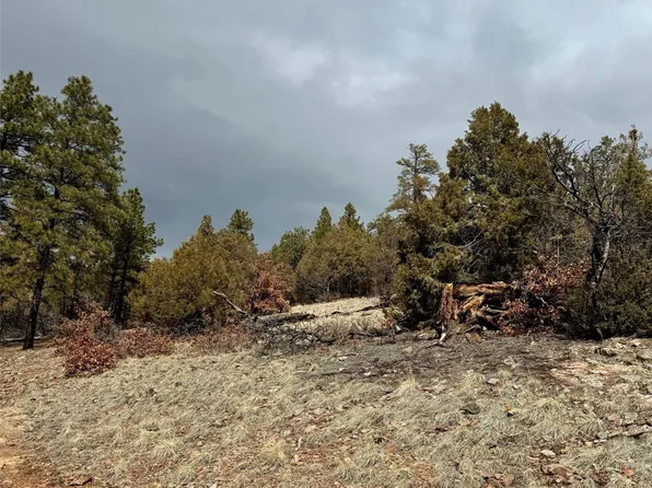 Ponderosa #S/d, Chama, NM 87520