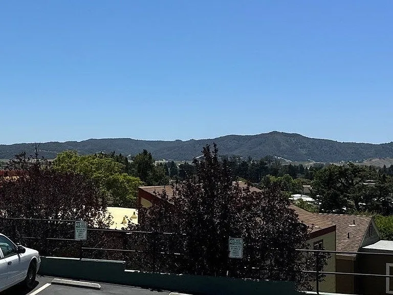 206 Loma Bonita Dr — Photo 25