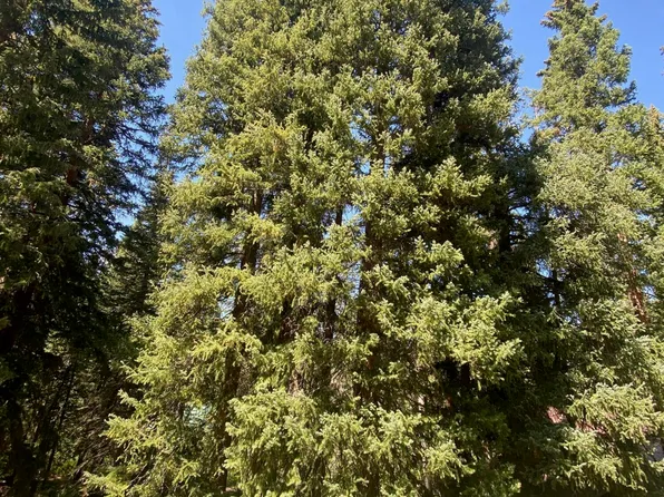 100 E 5th St, Eagle, CO 81631