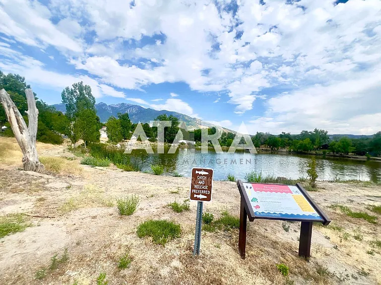 11837 S Sunrise View Dr — Photo 47