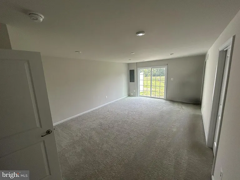 36072 Coyote — Photo 4