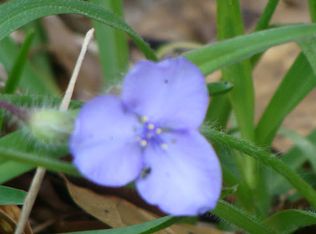 606 Arbula Dr, Crestline, CA 92325