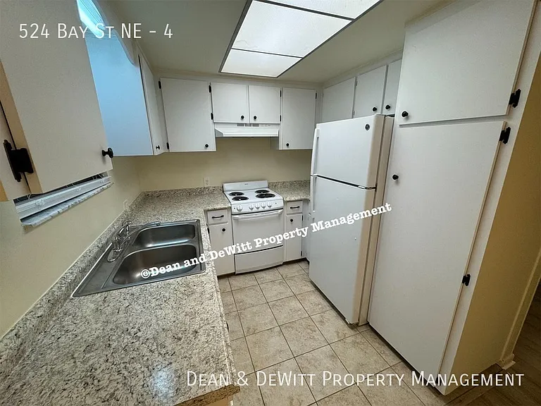 524 Bay St NE #4 — Photo 5