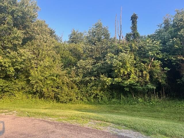 2nd image of LOT 237 Winesap Ct