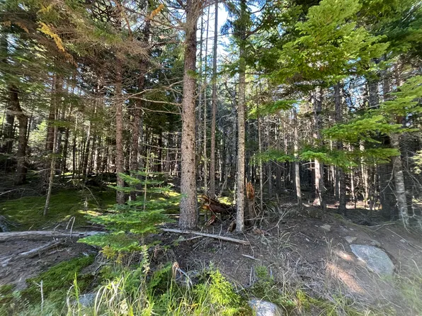 Lot #47 Old Wagon Road, Roque Bluffs, ME 04654