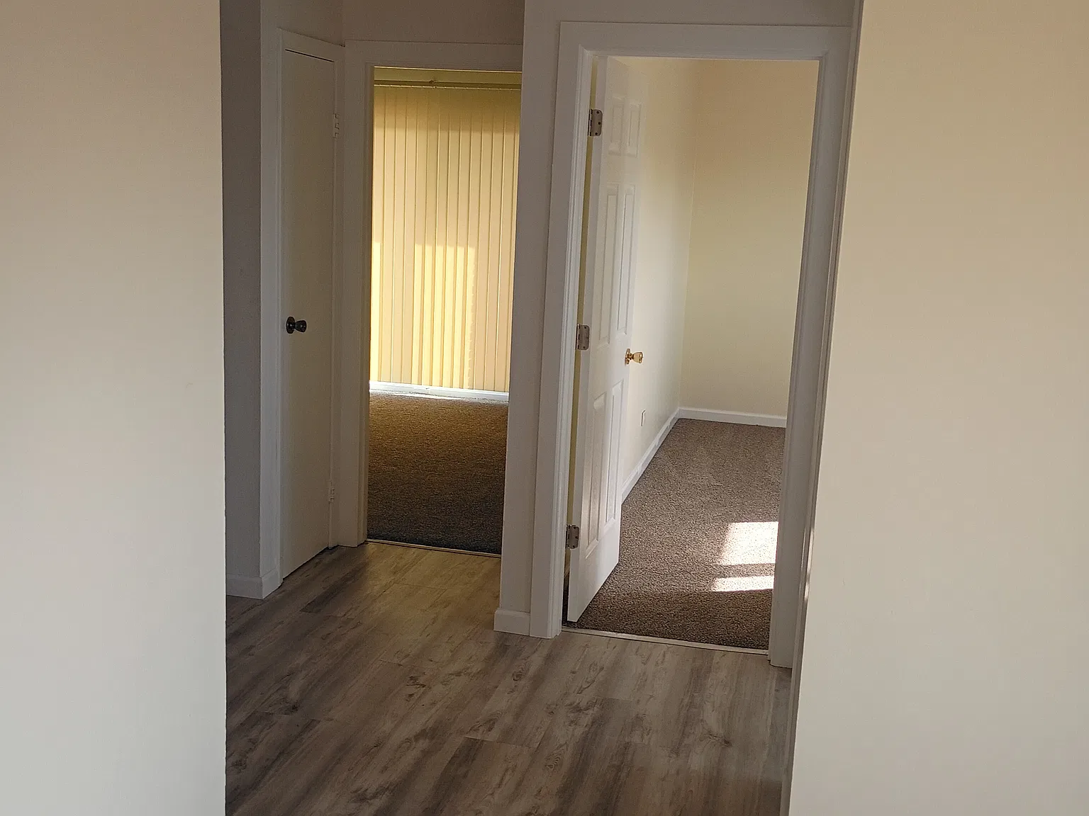 2 bed, 800 sqft, $1,610 — Photo 3