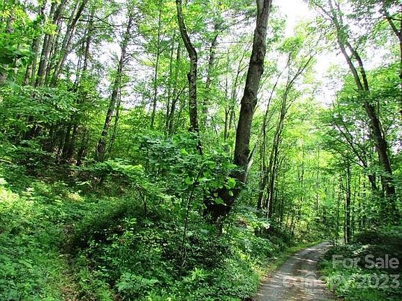 2nd image of Upper Browns Creek Rd #16