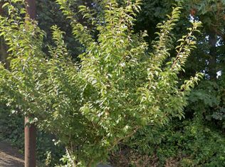 2315 Harbor Ave SW, Seattle, WA 98126