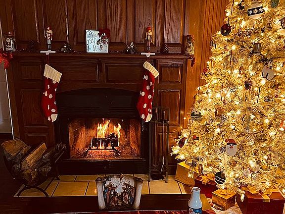 wood burning fireplace 