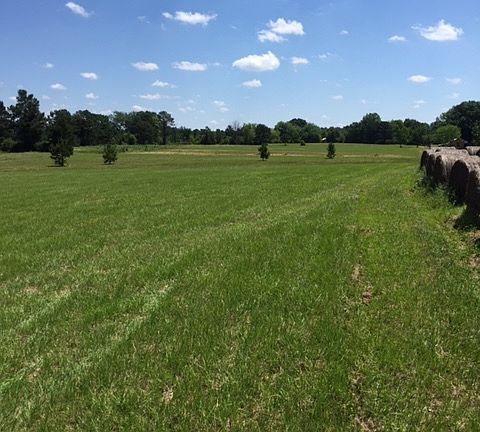 Back of Property looking tow