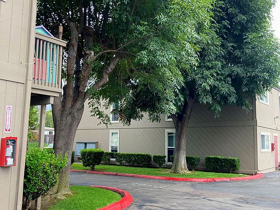 Mature trees lining parking lot entry at Solana Park Apartments in Solana Beach, California.