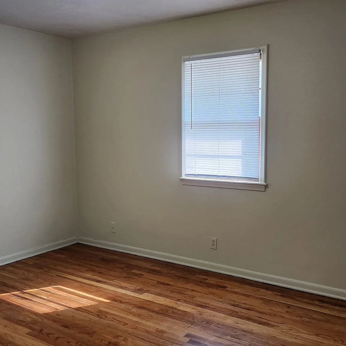 2 bed, $800 — Photo 4