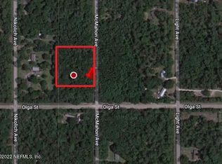 10055 McMahon Ave, Hastings, FL 32145